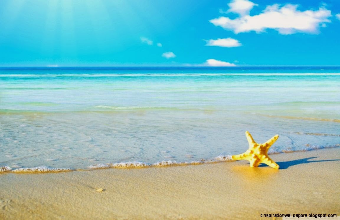 Starfish On The Beach HD desktop wallpaper High Definition Starfish On The Beach HD desktop wallpaper High Definition