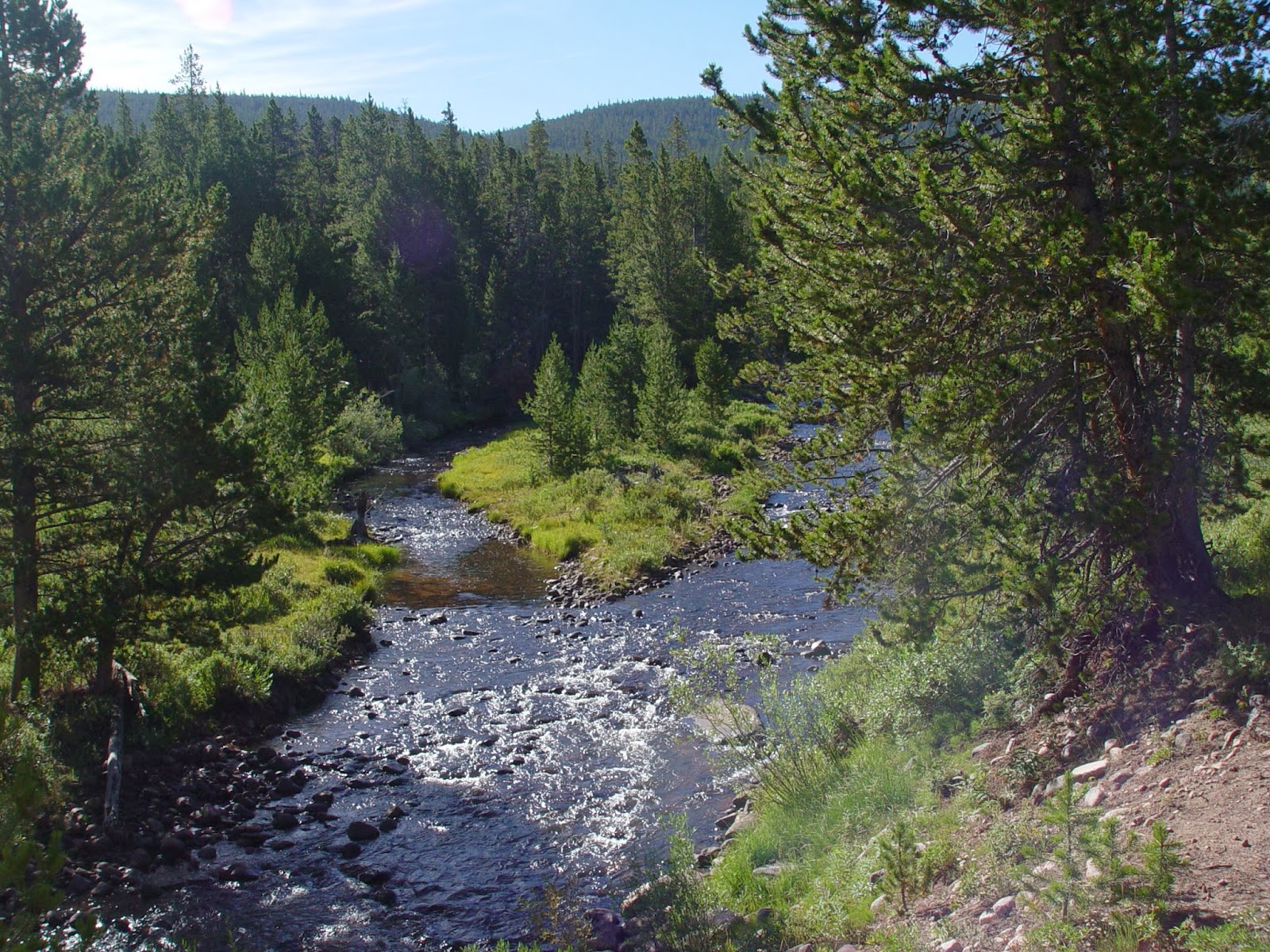 Dream Packer Trail Adventures China Meadows, Uintas, Utah