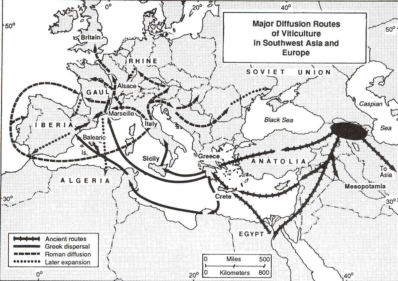 The Sommelier Update A Brief History of Wine