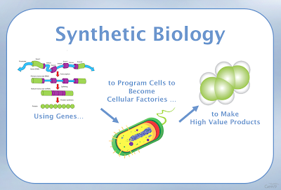 The Tomorrow Project : Conversations about Synthetic Biology