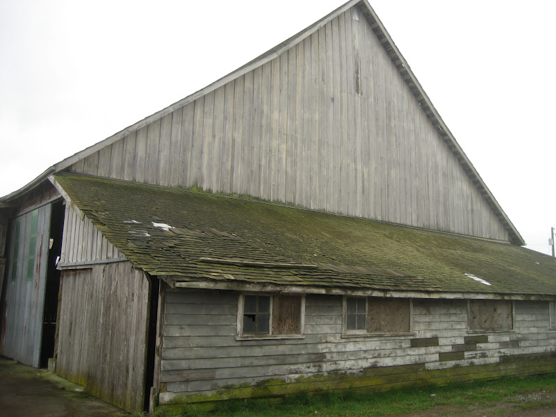 the Lucky Dumpster where does the wood come from?