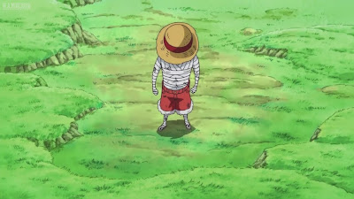 One Piece Episode 508 VOSTFR ~ WatchinGate