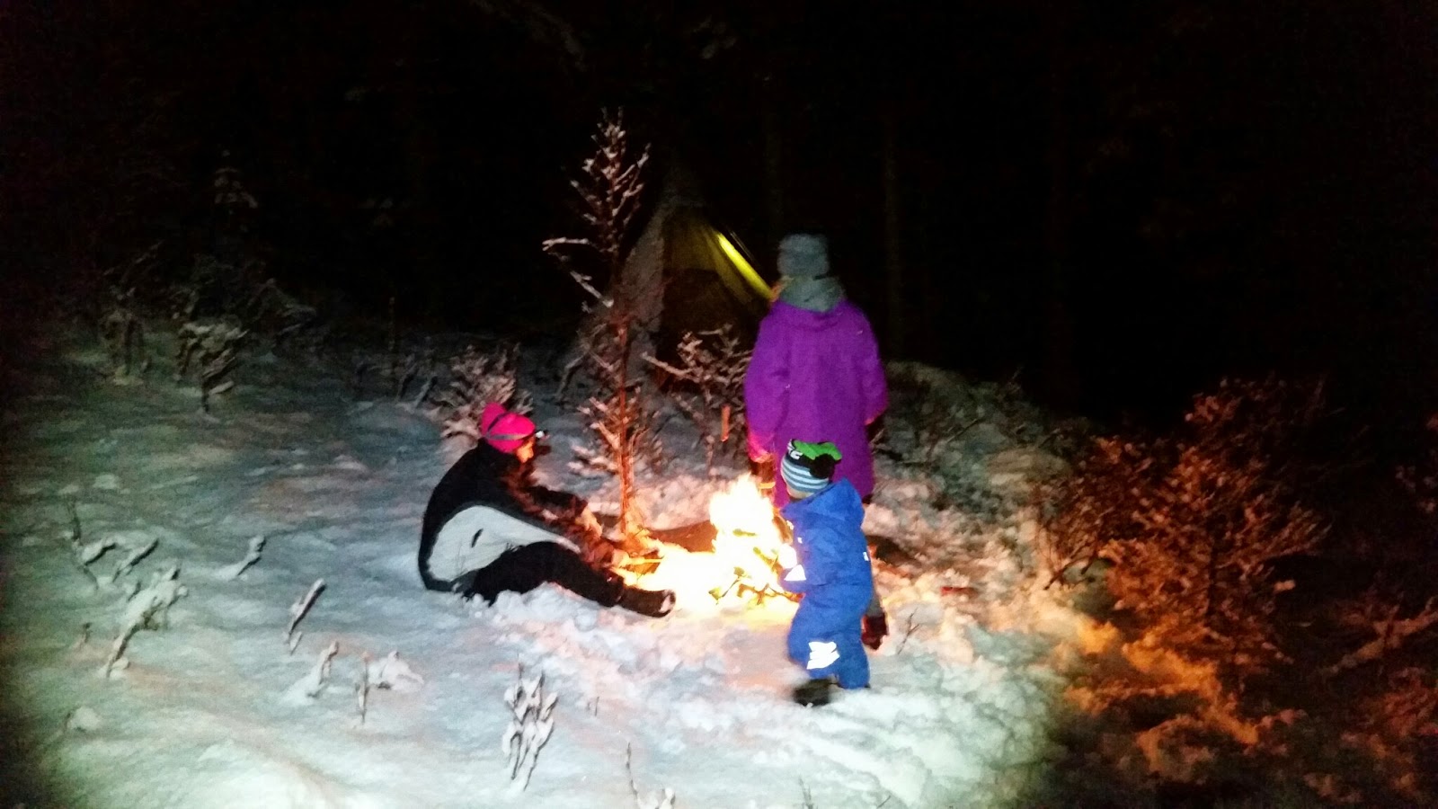 hvordan ha ei god natt i naturen hvordan ha ei god natt i naturen