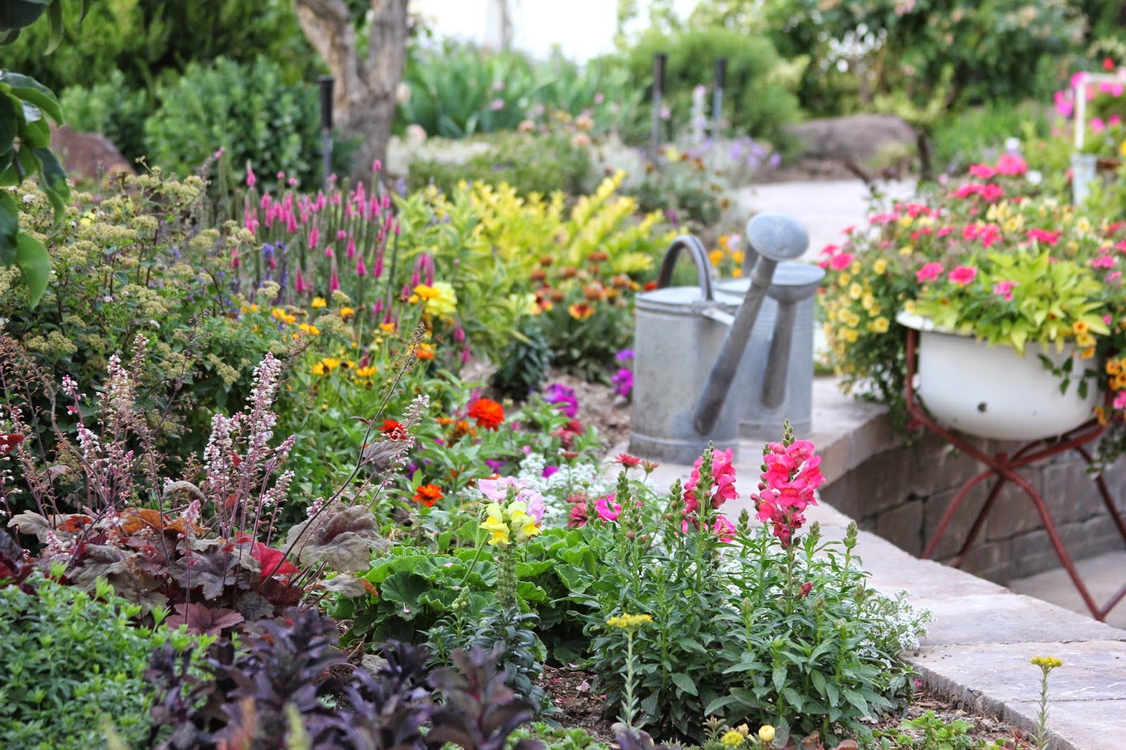 Time of Our Lives Perennials or Annuals?