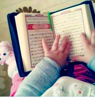 ���� ���� ������ �� ���� ������