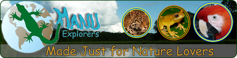 Manu National Park - Manu Biosphere Reserve - Manu Explorers
