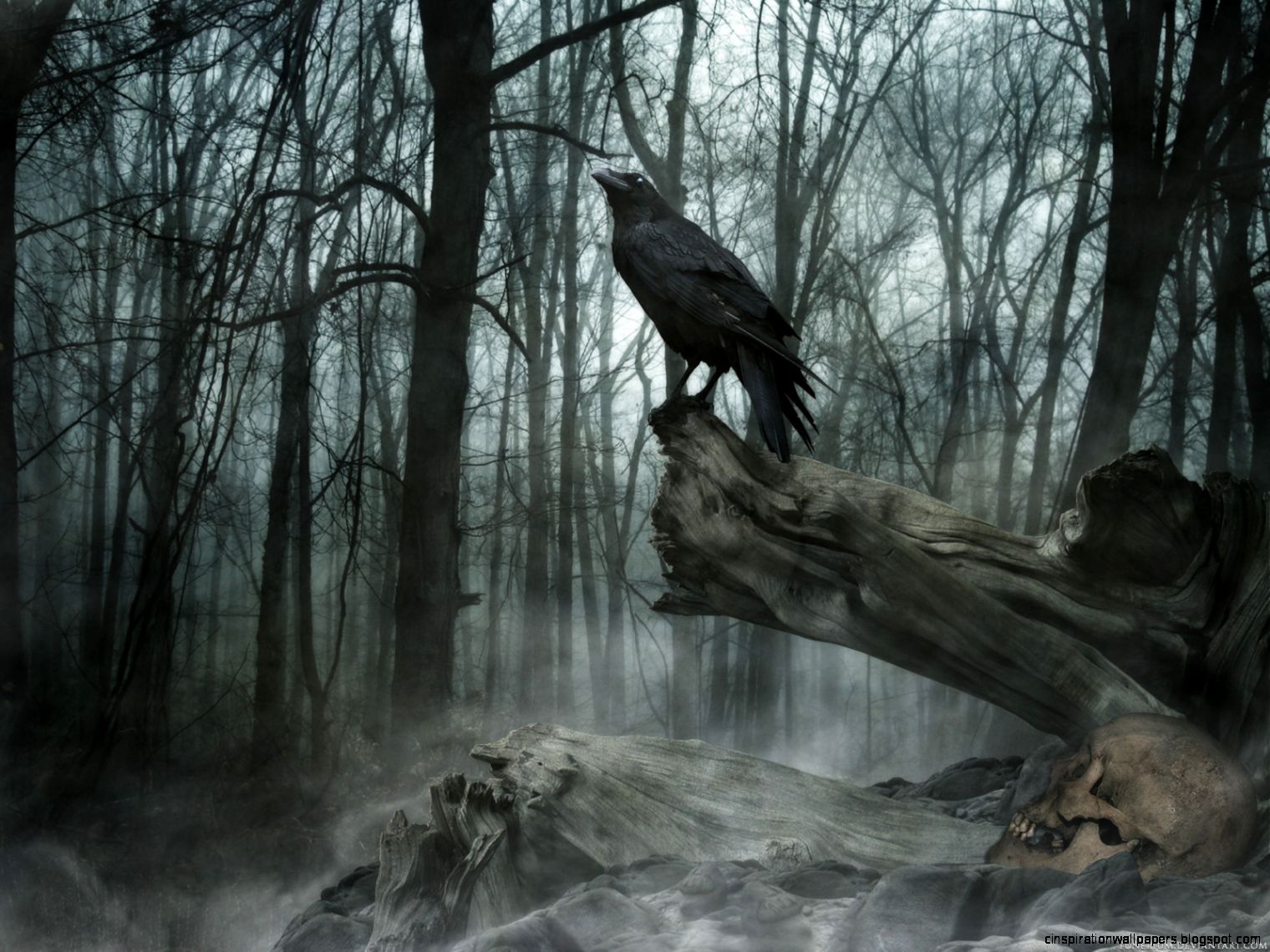 Raven Dark Forest Wallpaper Raven Dark Forest Wallpaper