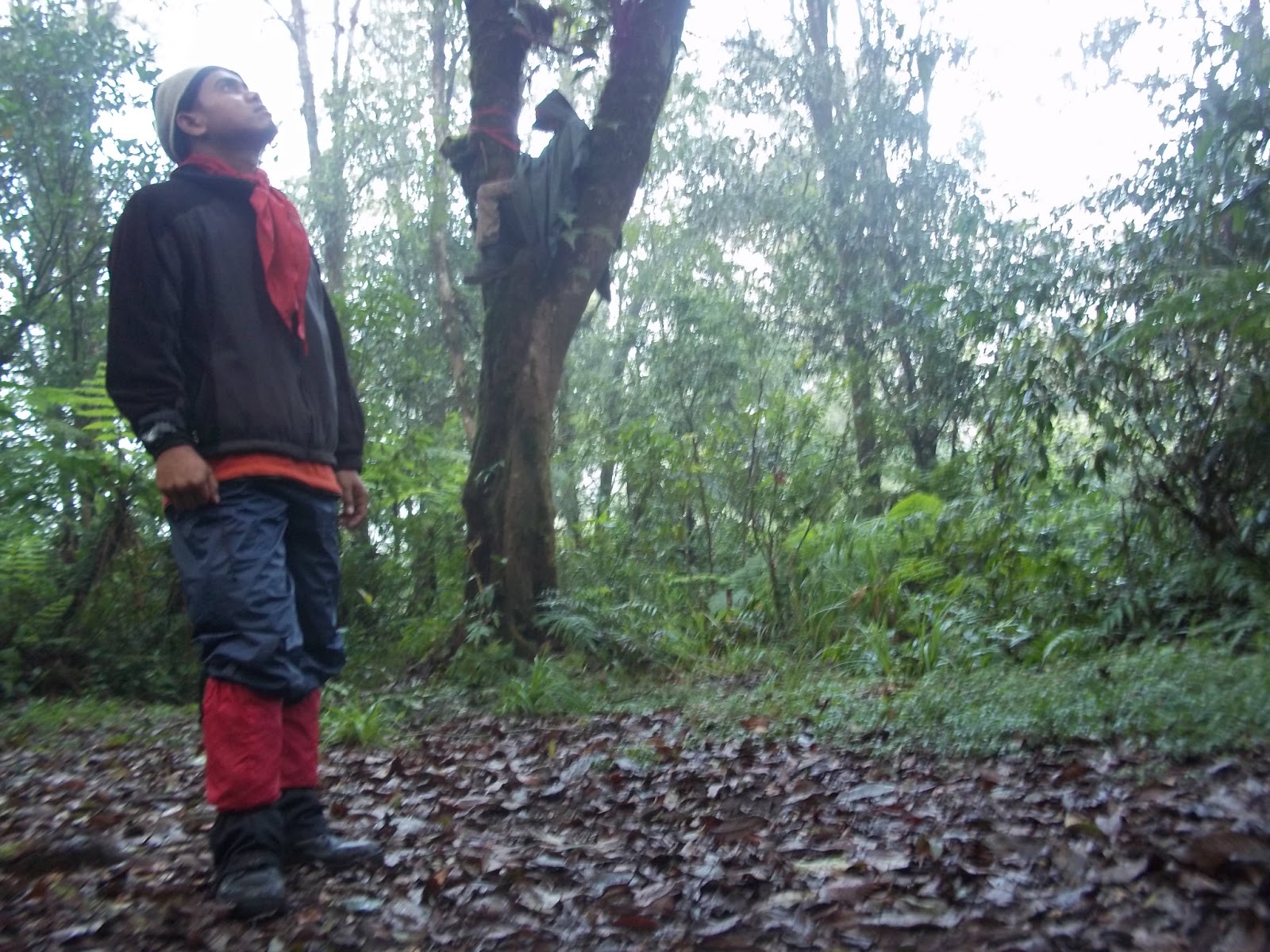 SAPUJAGAT: Teknik Tidur Kalong