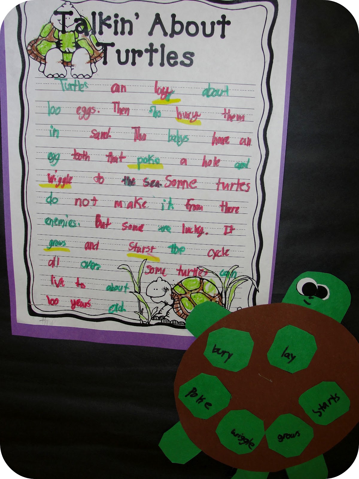 Information about turtle nests and eggs picture