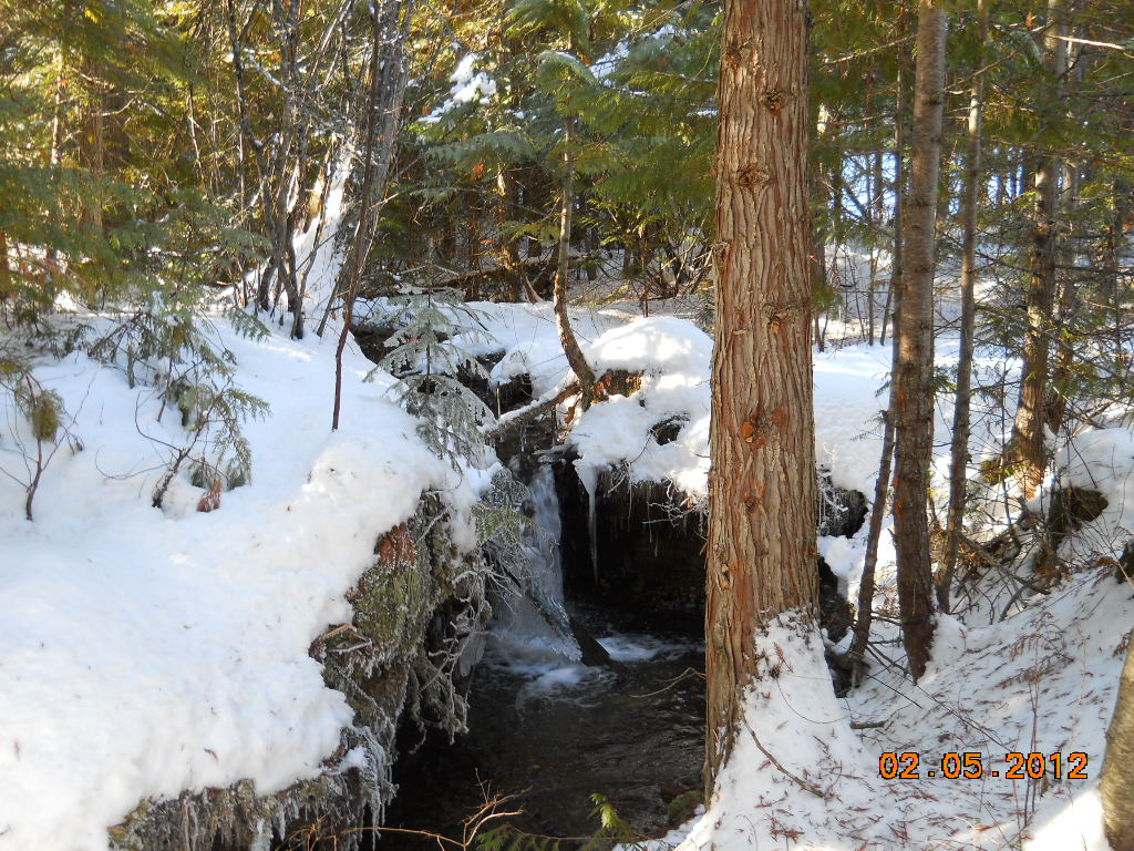 Home with three creeks for sale! Photo's of house and land