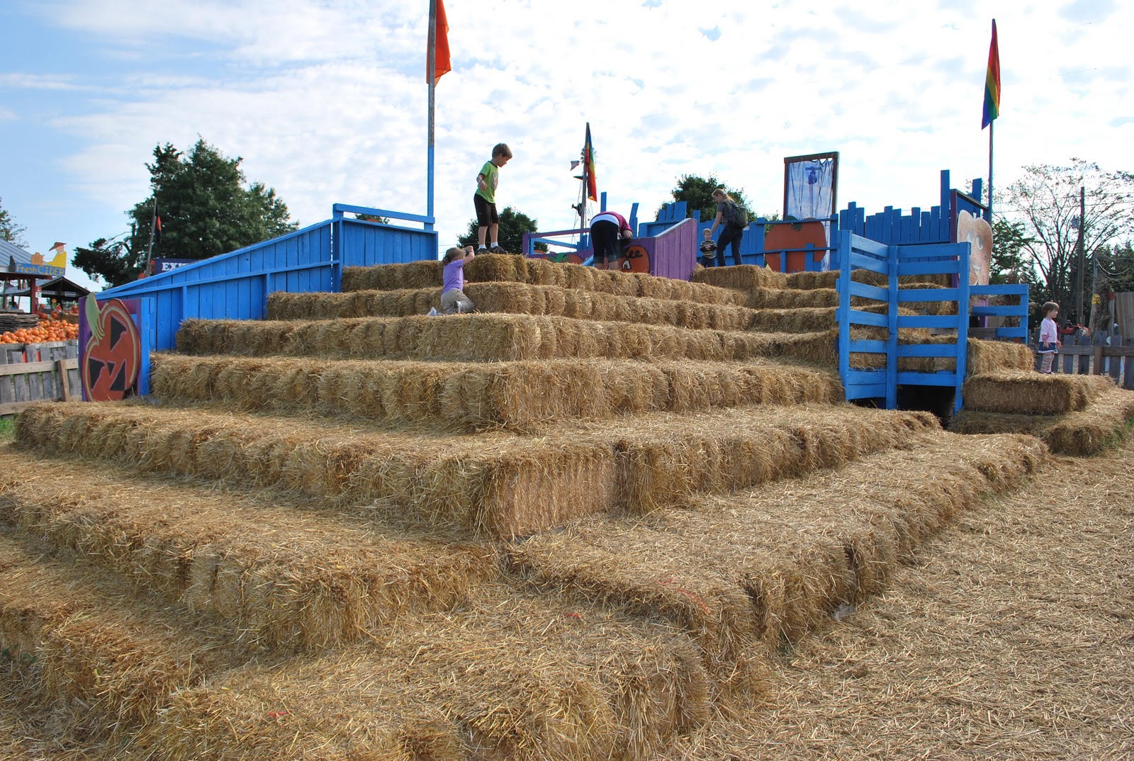 The Next Best Thing..... Cox Farms in Centreville, VA!