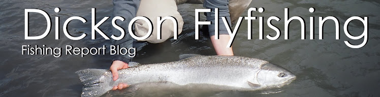 Dickson Flyfishing Guides