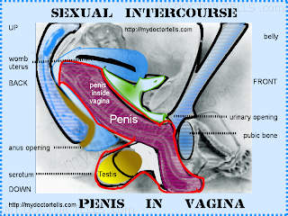 image how to insert penis in vagina sexologist my doctor tells ashok koparday best sex doctor sexual intercourse suhagarat honeymoon first sex unconsummated vaginismus