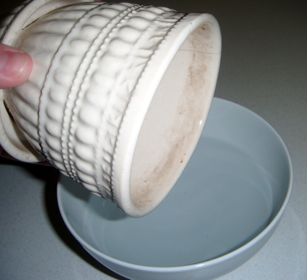 1868 Pleasant Removing Dirt Stains from Pottery