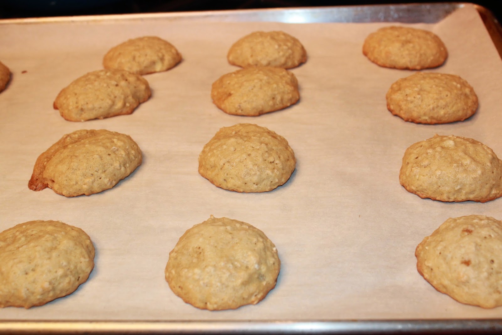 Michelle's Tasty Creations Banana Oatmeal Cookies