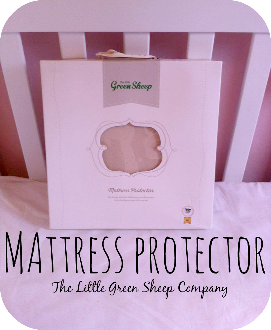 the little green sheep company