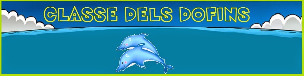 P3 - Classe dels dofins