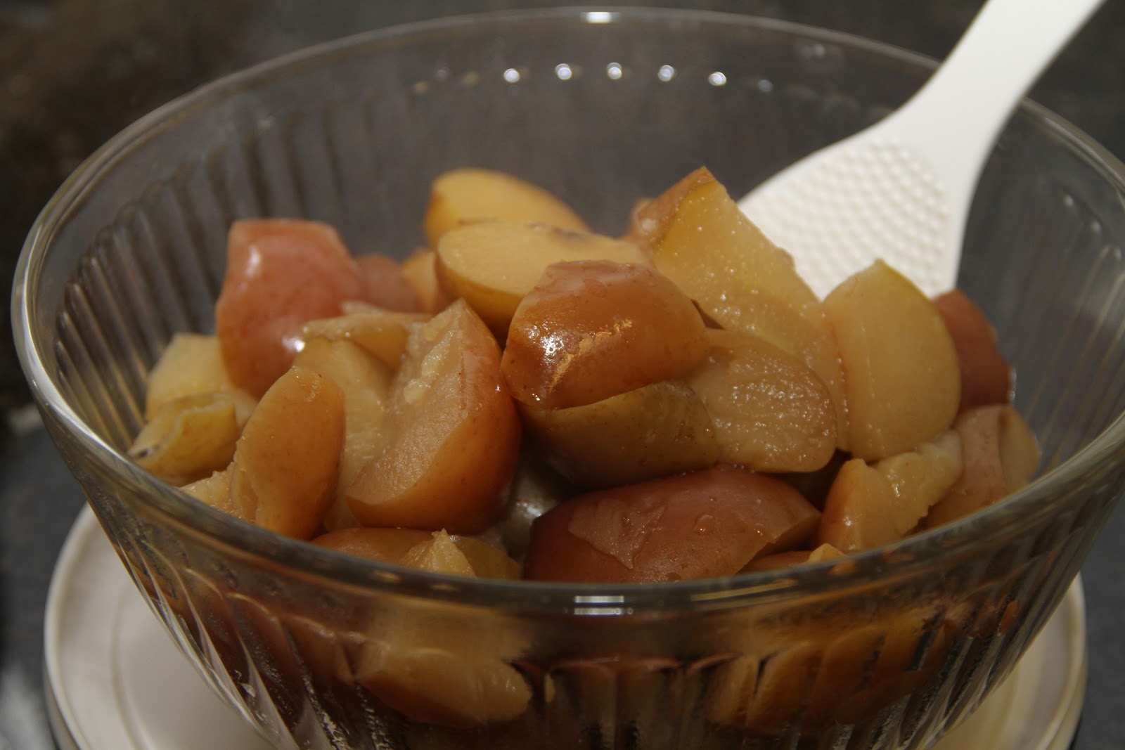 Jacki and John Ate This Applesauce in a Rice Cooker