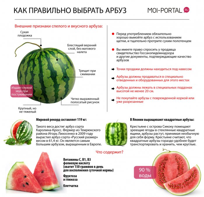 Сколько плодов у арбуза Сколько плодов у арбуза