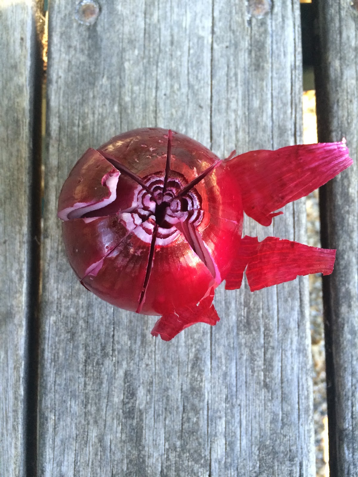 Tate's Kitchen red onion flowers