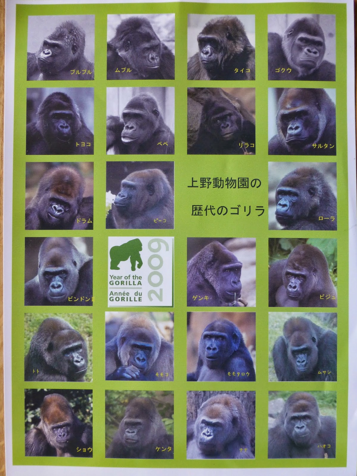 Gorilla 日記: 上野動物園の歴代のゴリラ