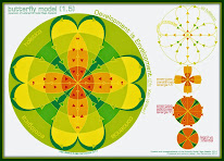 SISTEMATIZACION GRAFICA del MODELO MARIPOSA