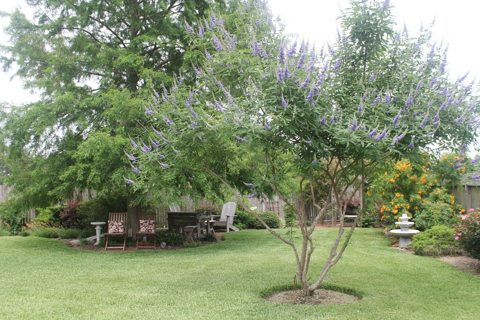 Texas Decor Garden Pics