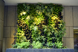 #4 Vertical Garden Idea  HD & Widescreen Wallpaper