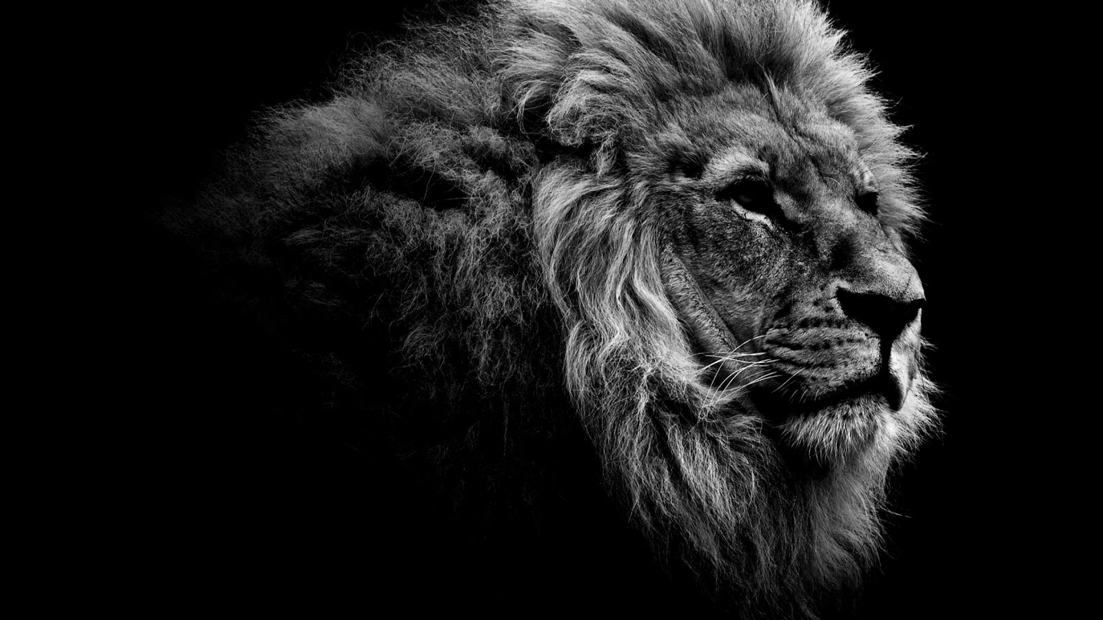 desktop wallpaper desktop wallpaper