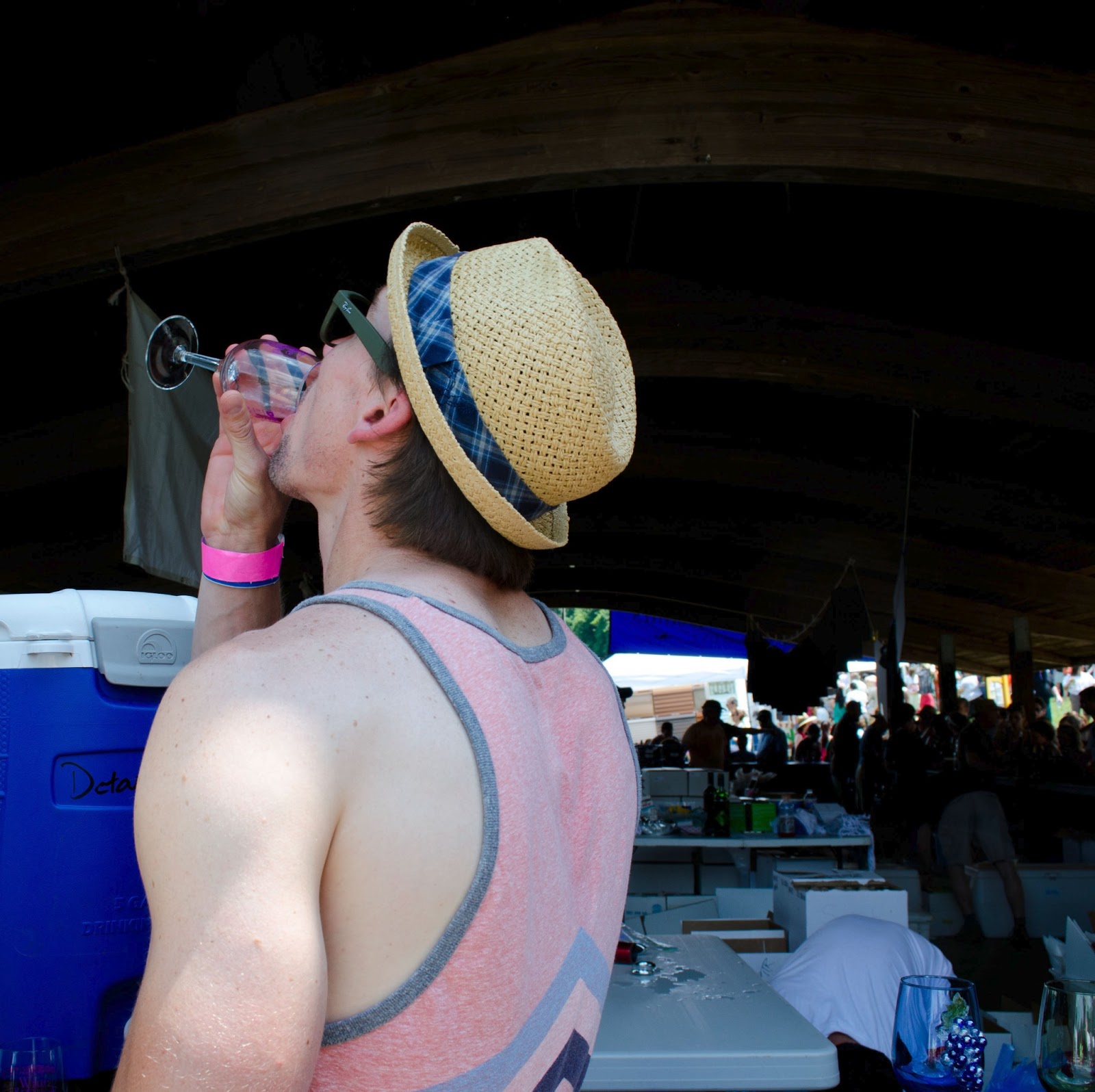 The Daily Distraction Great Grapes Wine Festival