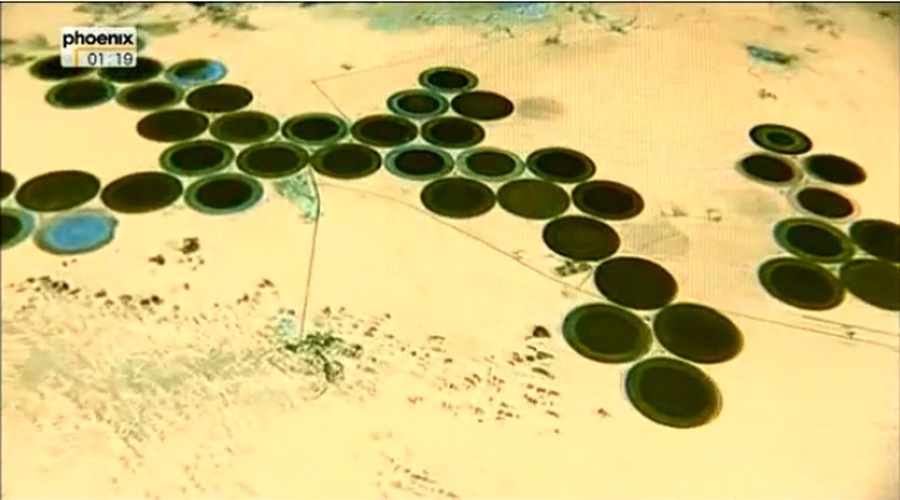 Opération 10.000 mars 2014