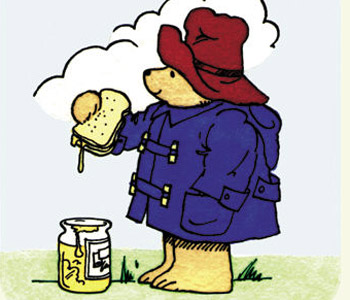 paddington bear