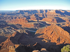 The Permian Red Beds of Dead Horse Point, Canyonlands, Utah