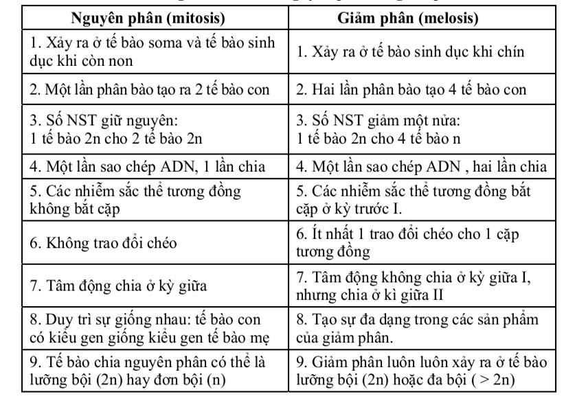 Káº¿t quáº£ hÃ¬nh áº£nh cho phÃ¢n biá»t nguyÃªn phÃ¢n vÃ  giáº£m phÃ¢n