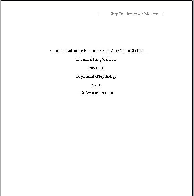 Biz(P) Survival Guide APA appendices