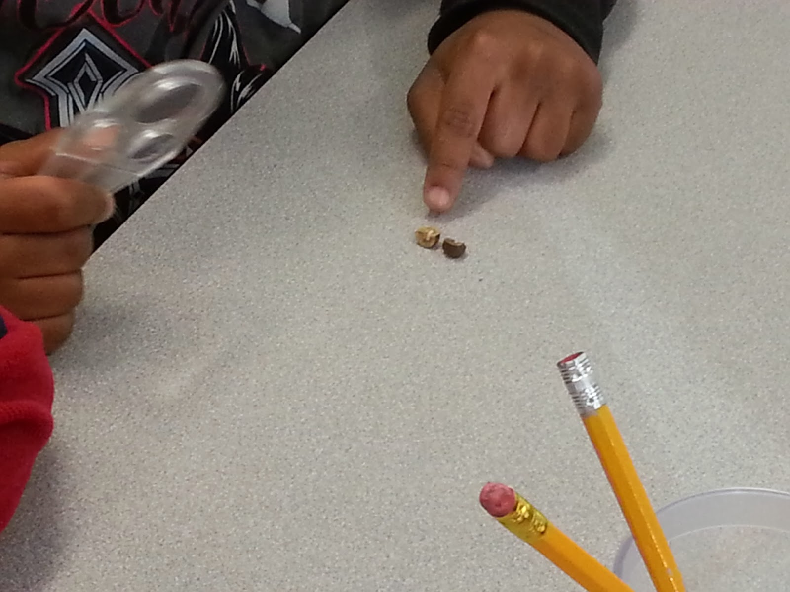 STEM Lab Mexican Jumping Beans Elementary Nest