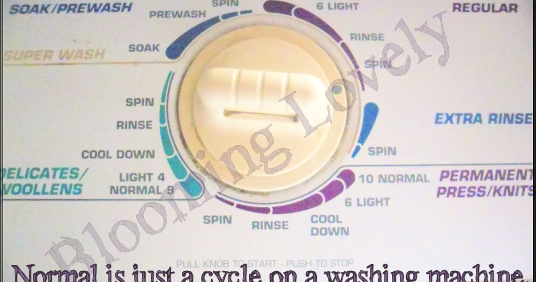 Blooming Lovely Normal Is Just A Cycle On A Washing Machine (Part 1)