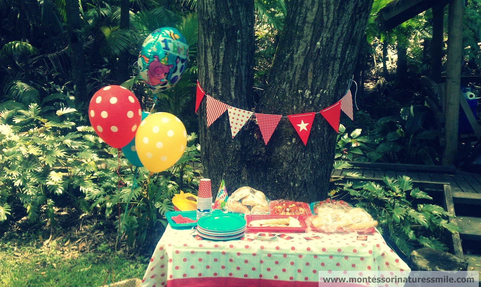 First Birthday Party Ideas | Montessori Nature