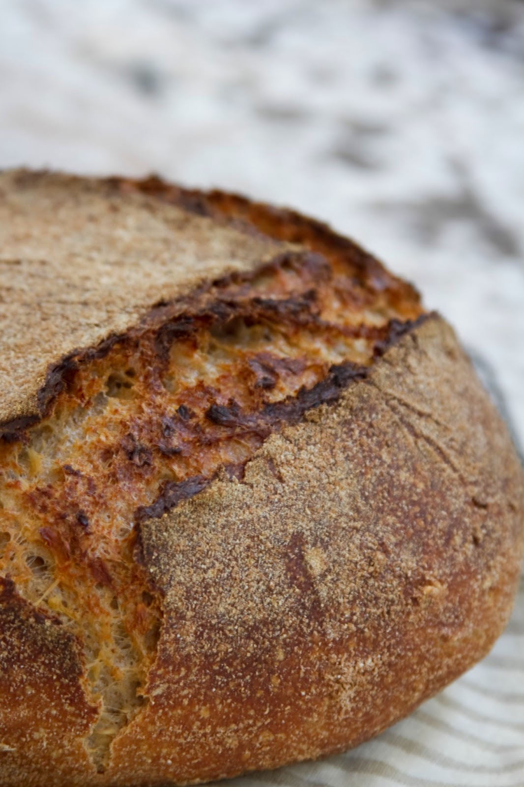 Oat Porridge Bread Tartine Book No. 3 Ever Open Sauce