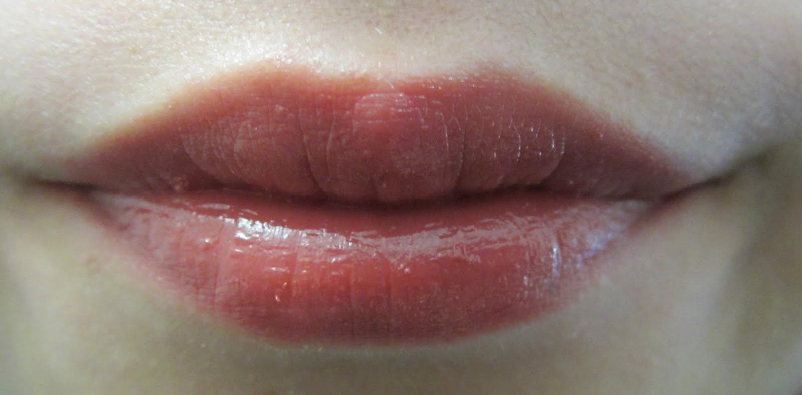 Burt's Bees Lip Shimmer in Fig — Raincouver Beauty