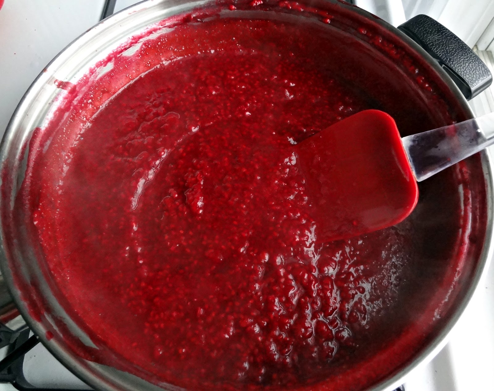The Cooking Actress Raspberry Jam (Pectin Free)