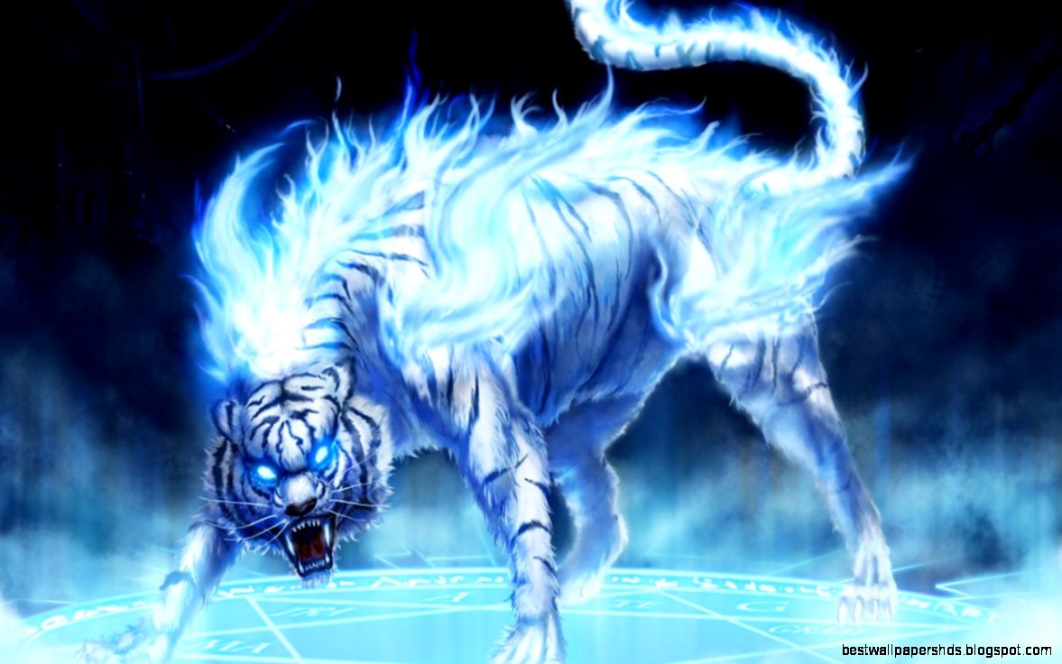 fantasy tiger Micketo Photo 24603189 Fanpop fantasy tiger Micketo Photo 24603189 Fanpop