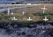 Cruces kaweshqar