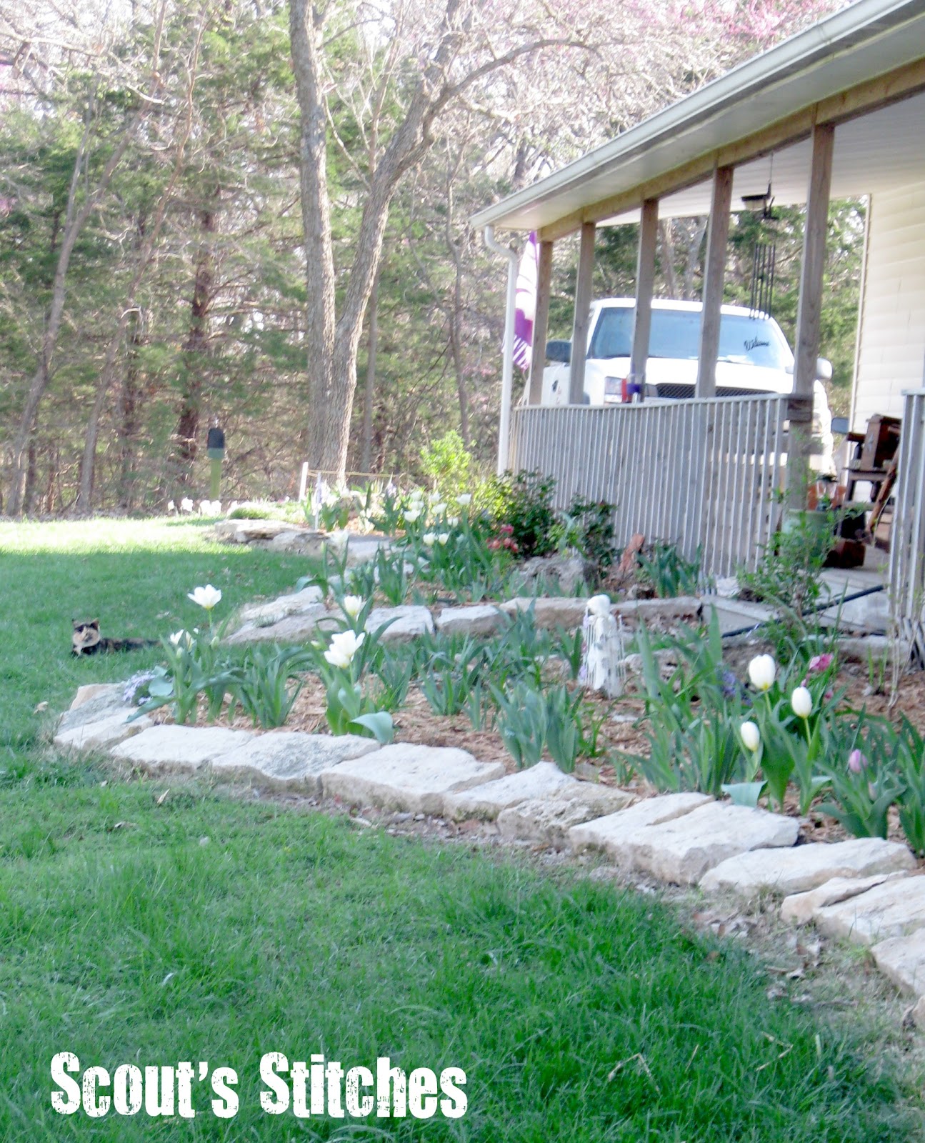 All The Joy Early Spring Flower Garden Tour