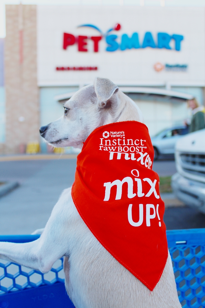 happyhazel Let's MixItUp ! Instinct Raw Boost Mixers Review!