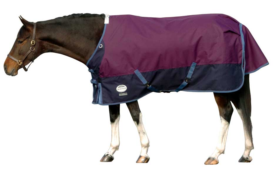 New Zealand Rugs For Horses Roselawnlutheran New Zealand Rug The Horse And Pony Project March 2016
