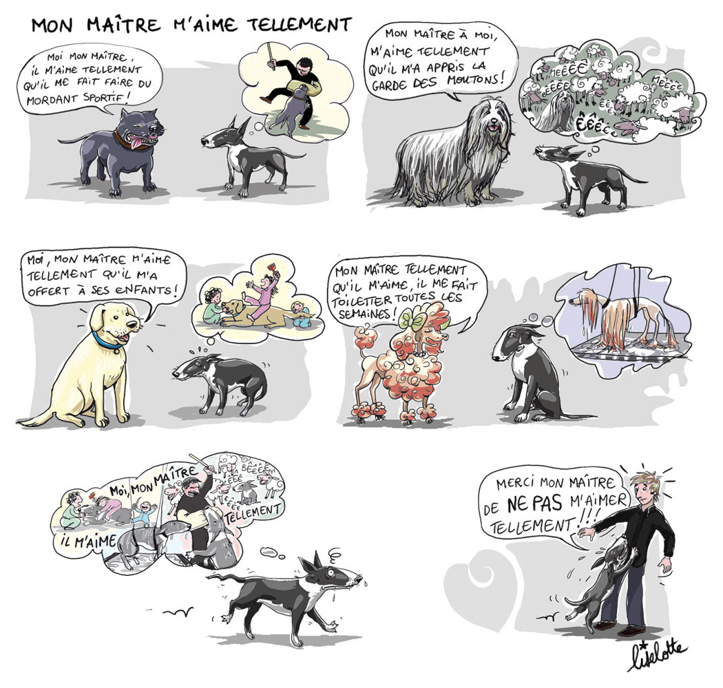 rencontre maitre chien