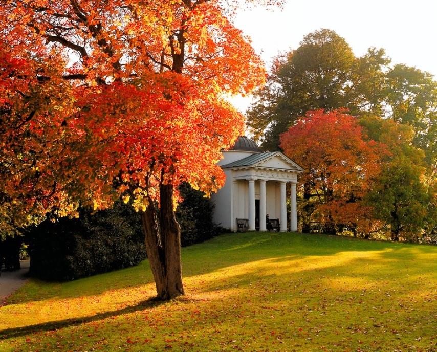 Travels and Books London, Kew Gardens Amazing autumn experiences.