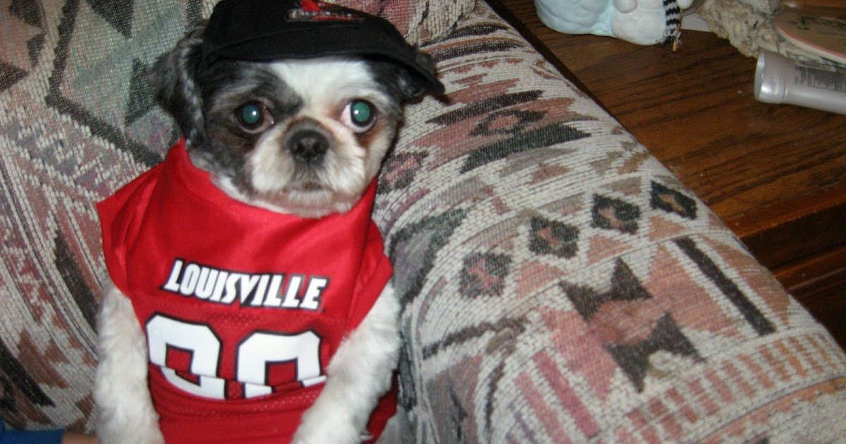 University of Louisville Cardinals Football Dog Jersey: University