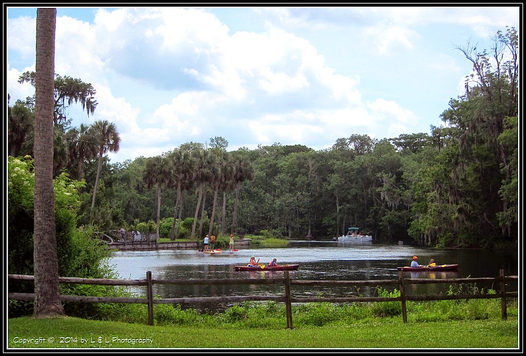Ocala, Central Florida & Beyond Scenes from the Silver Springs State Park